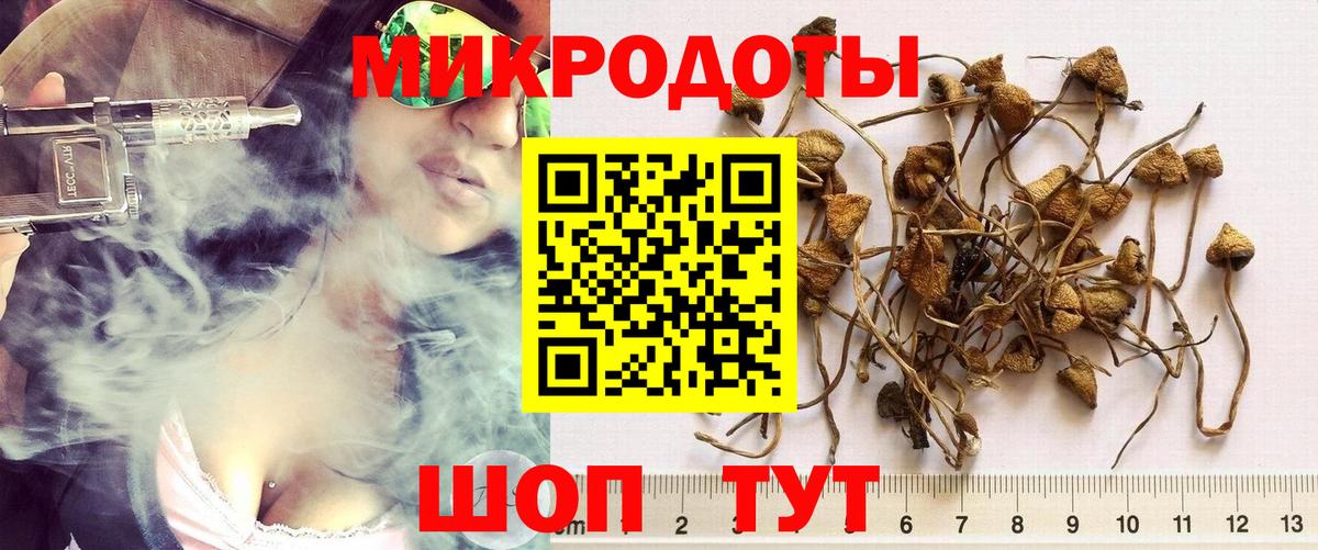 Галлюциногенные грибы GOLDEN TEACHER Лесной