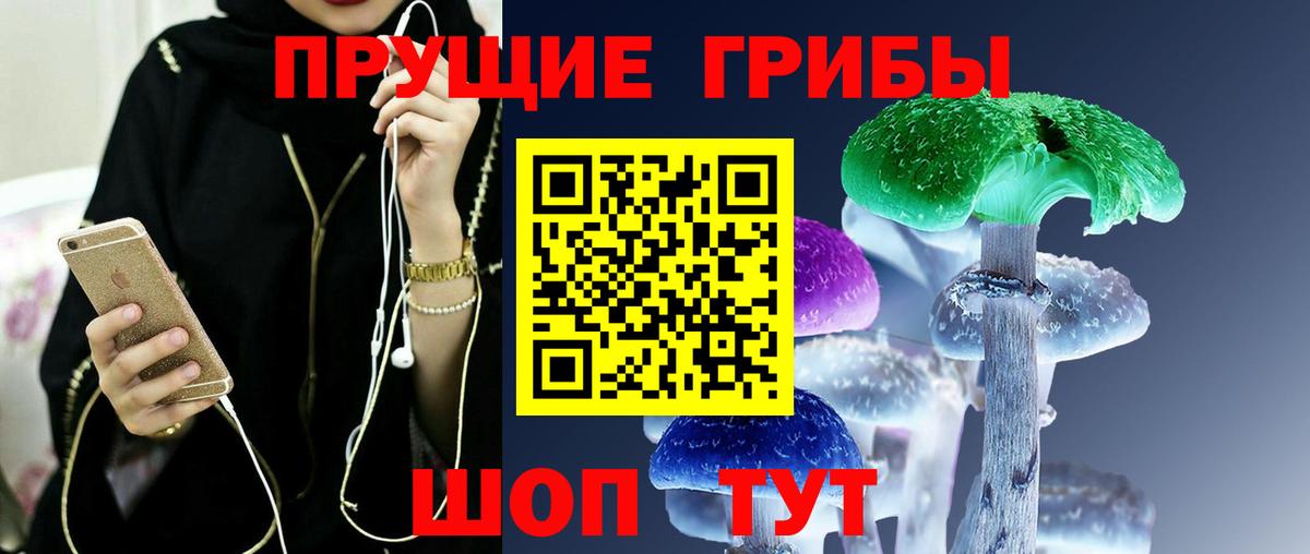 Лесной  Псилоцибиновые грибы GOLDEN TEACHER  Галлюциногенные грибы Cubensis  Вход с VPN 