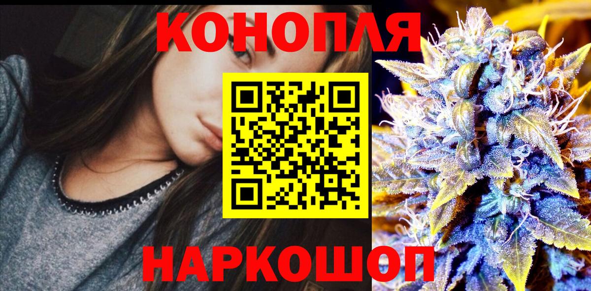 Бошки марихуана гибрид  Бошки марихуана Bruce Banner  МАРИХУАНА конопля  Вход с VPN  Лесной  Шишки марихуана план 
